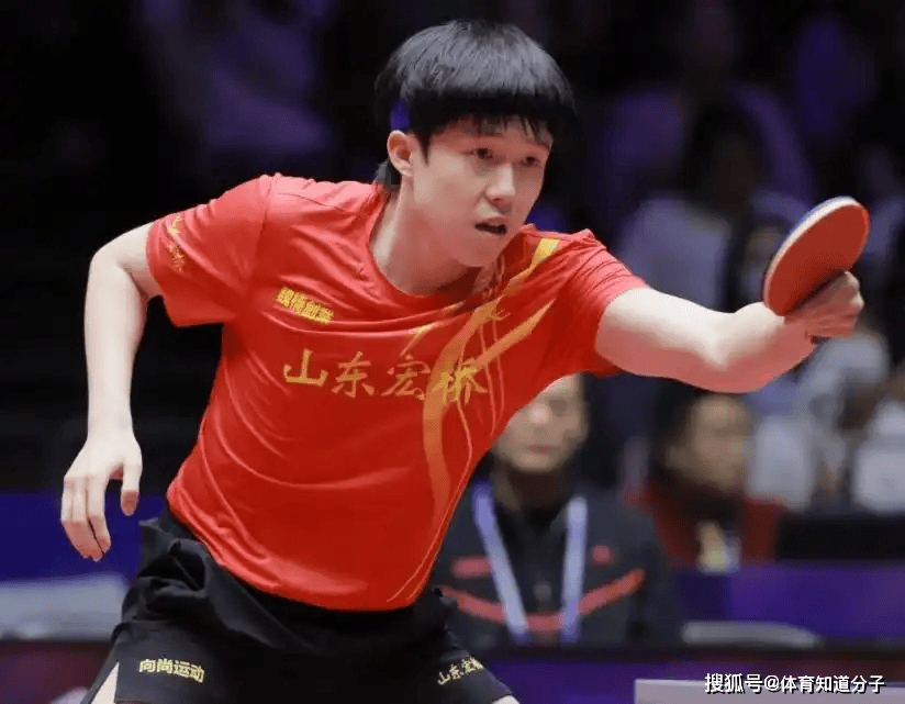 提供了全新 提供了全新