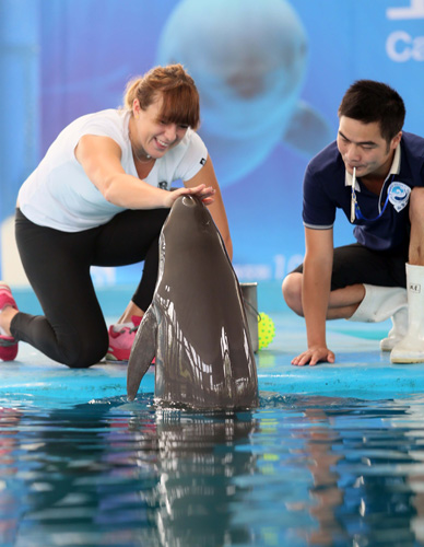 能带领队伍 能带领队伍