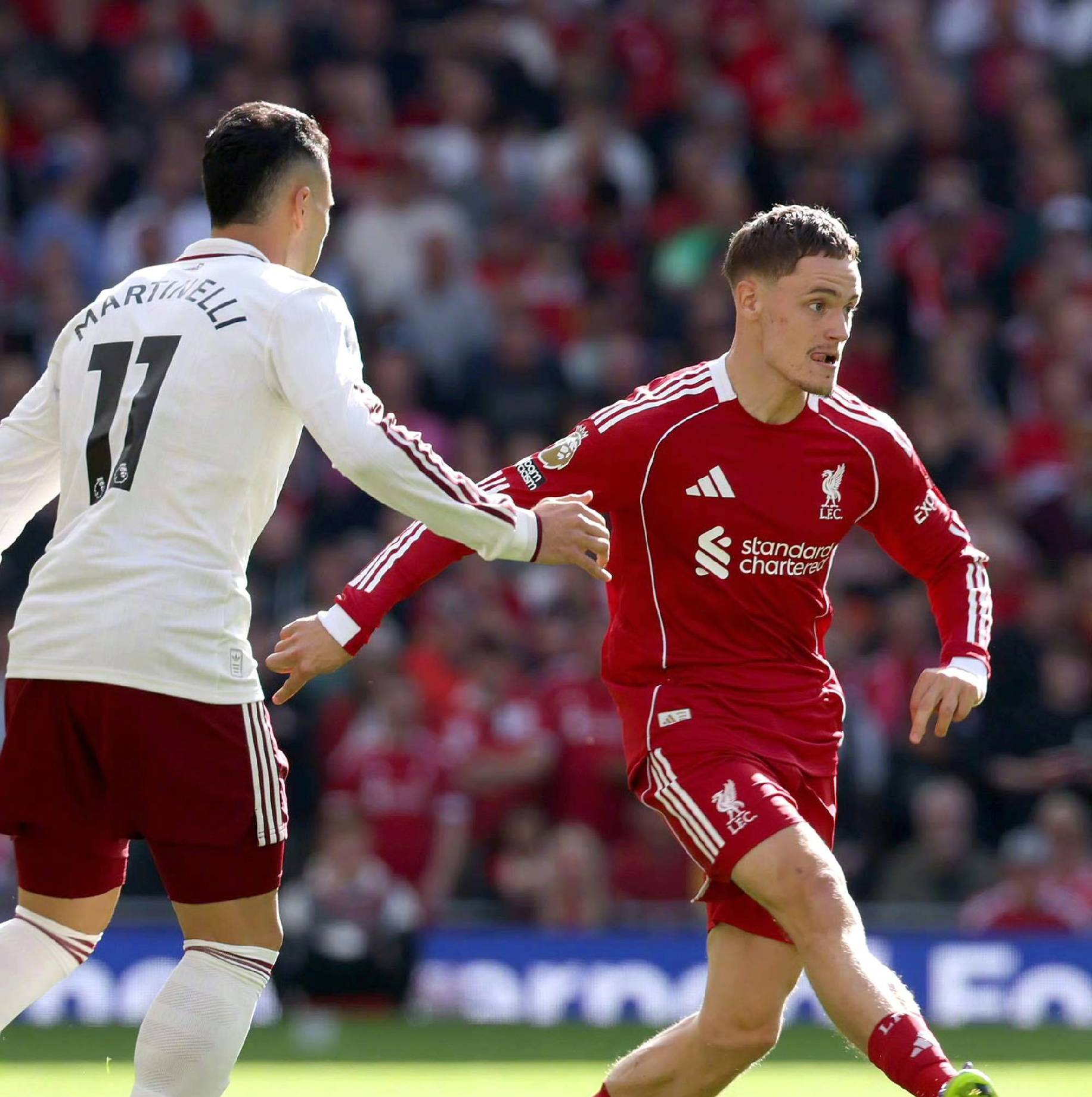 每一个新星 每一个新星